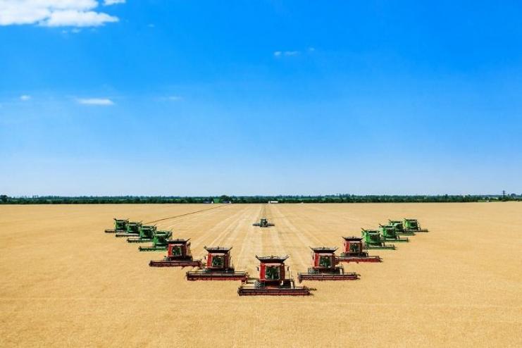 Аграрії Одещини зібрали третину площ ранніх зернових