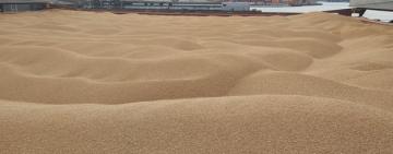 Завтра відбудуться переговори України, ООН та РФ щодо експорту українського зерна, – Міноборони Туреччини