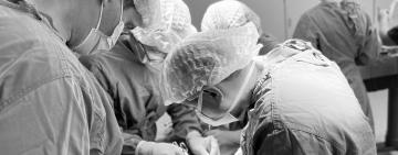 У Києві лікарі успішно пересадили нирку від мами - доньці 