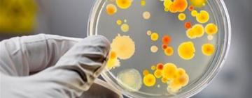 Небезпечний 