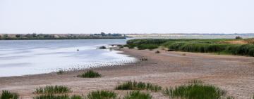 Друге життя Китаю: висихаюче озеро Ізмаїльщини почнуть наповнювати водою