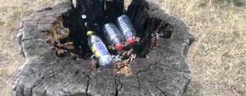 Берегти природу – це поважати себе!