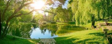 В двох областях України порушники завдали природі збитків на мільйони грн за пів року