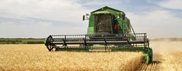 Агрогосподарства Арцизької громади завершили збір  ранніх зернових та зернобобових 