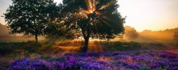 СИНОПТИКИ СПРОГНОЗУВАЛИ ПОГОДУ НА ОСТАННІЙ МІСЯЦЬ ЛІТА