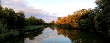 Центральний парк Кілії знову готовий зустрічати любителів тихого відпочинку