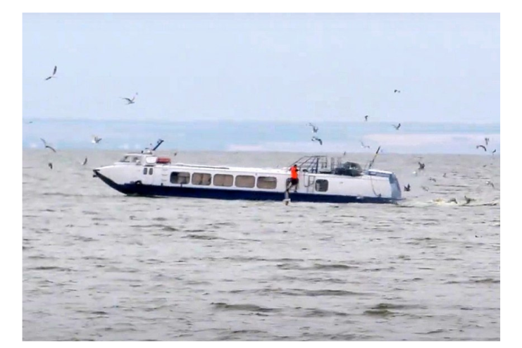 Вперше за 18 років: теплохід на підводних крилах повернувся у Дністровський лиман 