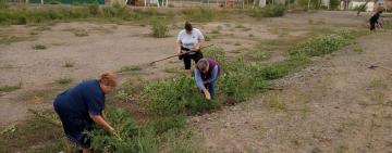 На Тарутинщині борються з амброзією