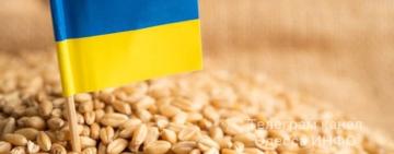 "Зерновим коридором" через Одесу Україна планує експортувати 3 млн. т зерна