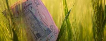 Уряд пролонгував пільгові кредити для аграріїв на пів року