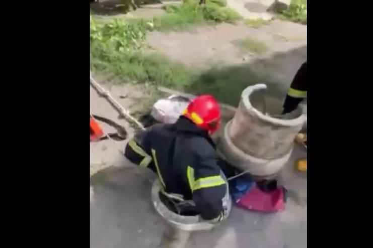 ВІДЕО: кошеня-бешкетник завдало трохи клопоту рятувальникам Одещини
