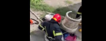 ВІДЕО: кошеня-бешкетник завдало трохи клопоту рятувальникам Одещини