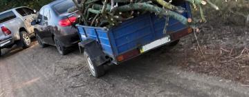 Профілактичні рейди з метою попередження незаконної, стихійної  вирубки лісових насаджень