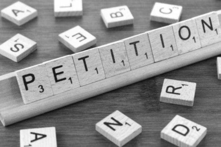 Зеленський відповів на петицію щодо легалізації порнографії в Україні