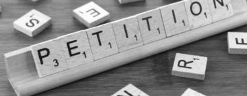 Зеленський відповів на петицію щодо легалізації порнографії в Україні