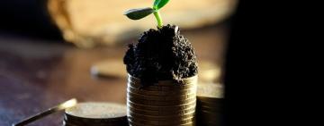 Як малим агровиробникам отримати допомогу від ЄС?