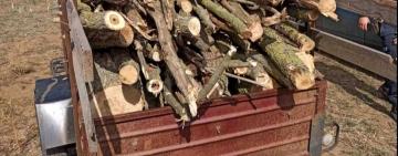 У Теплицькій громаді місцевий активіст підозрюється у незаконний вирубці дерев  