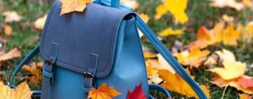 Шкільні канікули 2022-2023: коли і скільки відпочиватимуть учні в Україні