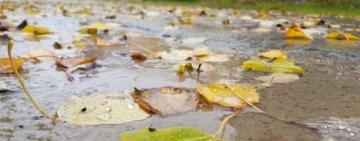 ШТОРМОВЕ ПОПЕРЕДЖЕННЯ ОГОЛОШЕНО У НИЗЦІ ОБЛАСТЕЙ НА ВИХІДНІ