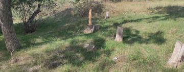 І знову "чорні лісоруби". Цього разу в Арцизькій ТГ 