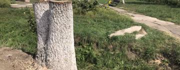 БЛАГОУСТРІЙ ЧИ ЗЛОЧИН: В АРЦИЗІ МІСТЯНИ ПРОТИ «ОНОВЛЕННЯ» ПАРКОВОЇ ЗОНИ