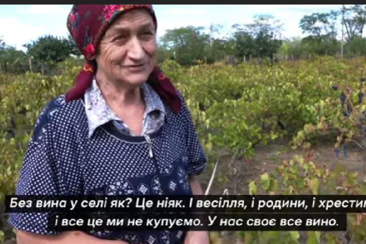 Болгари з Одещини показали, як виготовляють понад 800 літрів вина з врожаю винограду