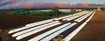 Стартує подання заявок на отримання рукавів для зберігання зерна