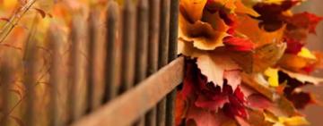 Екватор осені: календар свят на жовтень