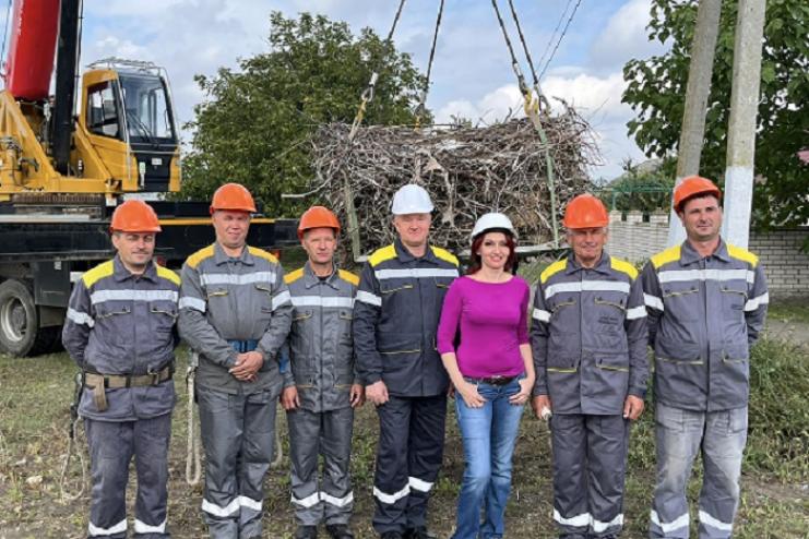 ДТЕК Одеські електромережі укріпить 30 гнізд лелек на електроопорах 