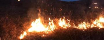 СПРАВЕДЛИВИЙ ВИРОК СУДУ: палій трави заплатив понад 130 тисяч гривень штрафу 