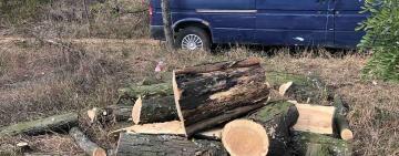 І знову чорні лісоруби