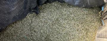 Поліцейські скерували до суду обвинувачення жителю Ренійської громади у незаконному виготовленні та зберіганні наркотичного зілля в особливо великих розмірах