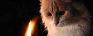 ВАЖЛИВО: зміни в оповіщенні про відключення світла для мешканців Одещини