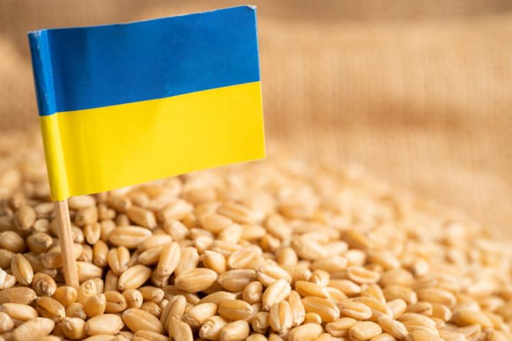 Росія не пропускатиме кораблі "зерновим коридором": ультиматум від країни-терориста