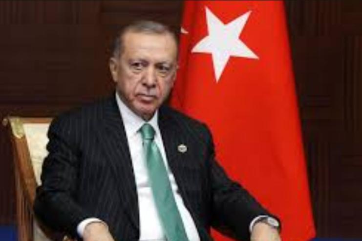 Завдяки війні в Україні Ердоган розширює свій вплив та зміцнює Туреччину, – WSJ