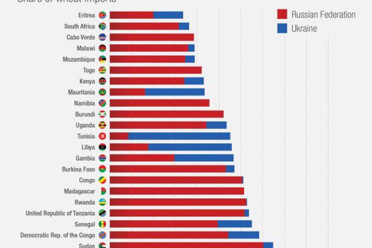 Зеленський запропонував G20 обіграти Путіна в Африці. Це цікава пропозиція