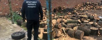 На Одещині припинено діяльність злочинної групи «чорних» лісорубів