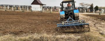 У Криничному комунальники висадили ялинки біля сільського кладовища