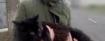 Як чорний кiт та Антон намагалися незаконно перетнути кордон