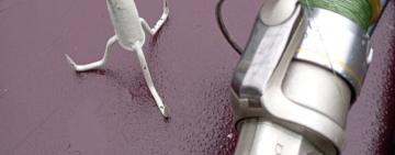 Одещина: браконьєри лише за грудень завдали державі збитків на майже пів мільйона гривень