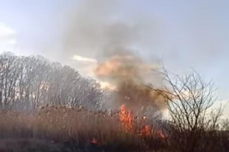 Відомий еко-активіст з Арцизу голими руками тушив пожежу у плавнях на території Кілійської громади (відео)