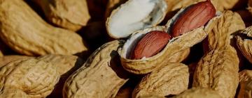 В Україну завезли небезпечний арахіс, який викликає рак, — Держспоживслужба Одеської області