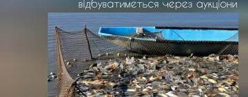 В Україні вперше промислове рибальство відбуватиметься через аукціони