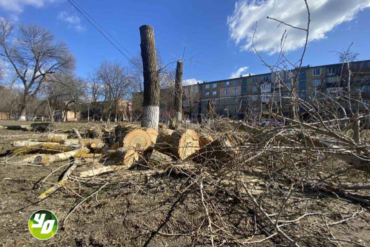 А замість дерев в Арцизі будуть штурпаки…