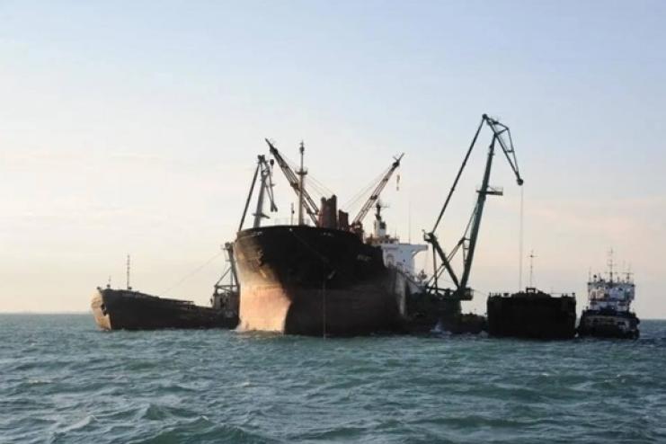 Дунайські порти досягли рекордного значення в 12 суднозаходів та 90 тис. тонн на добу