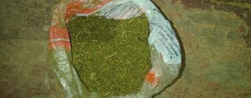 Мешканець Болградщини у власній оселі планував збувати канабіс