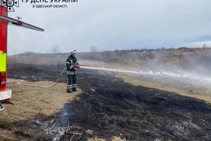 ПАЛІЇВ СУХОЇ ТРАВИ ПОКАРАНО: на Одещині двоє порушників заплатять штрафи