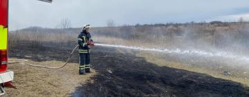 ПАЛІЇВ СУХОЇ ТРАВИ ПОКАРАНО: на Одещині двоє порушників заплатять штрафи