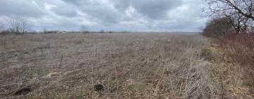 Громаді на Одещині повернули землі вартістю 125 млн грн