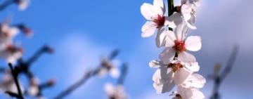 Хтось відпочиває, а хтось – ось-ось почне: про весняні канікули в школах Одещини